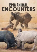  Невероятные встречи с животными смотреть онлайн тв шоу 1 сезон 